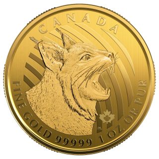 Zlatá mince 1 oz (trojská unce) BOBCAT Kanada 2020