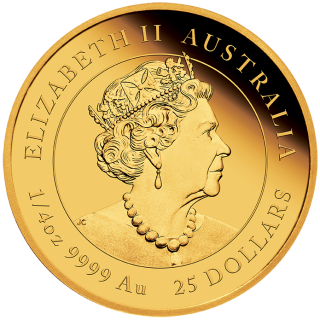 Zlatá mince 1/4 oz (trojské unce) ROK BUVOLA Austrálie 2021