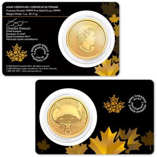 Zlatá mince 1 oz (trojská unce) GOLD RUSH Kanada 2021